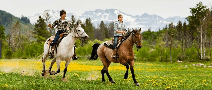 Confident plus-size woman riding Ware a horse through a field with a smile on her face.
